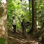 Grand Gortani - Borgo Gortani Hotel 4*